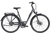 Pegasus Premio SL Belt,  8 Gang Nabenschaltung mit Freilauf,  Damenfahrrad,  Wave,  Modell 2020,  28 Zoll,  grey matt,  grey matt,  45 cm