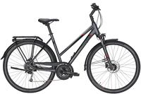 Pegasus Premio SL Disc,  27 Gang Kettenschaltung,  Damenfahrrad,  Trapez,  Modell 2020,  28 Zoll,  grey matt,  grey matt,  53 cm