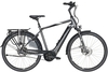 Pegasus Ravenna Evo 5 Belt (400 Wh),  5 Gang Nabenschaltung,  Herrenfahrrad,  Diamant,  Modell 2020,  28 Zoll,  black chrome matt,  black chrome matt,  45 cm
