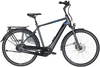 Pegasus Ravenna EVO 5 NL (400 Wh),  5 Gang Nabenschaltung,  Herrenfahrrad,  Diamant,  Modell 2020,  28 Zoll,  grey,  grey,  50 cm