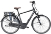 Pegasus Siena E8F Plus (400 Wh),  8 Gang Nabenschaltung,  Herrenfahrrad,  Diamant,  Modell 2020,  28 Zoll,  black matt,  black matt,  50 cm