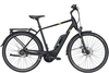 Pegasus Solero E5F Sport (400 Wh),  5 Gang Nabenschaltung Freilauf,  Herrenfahrrad,  Diamant,  Modell 2020,  28 Zoll,  black matt,  black matt,  45 cm