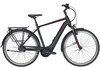 Pegasus Strong Evo 5R (625 Wh),  5 Gang Nabenschaltung,  Herrenfahrrad,  Diamant,  Modell 2020,  28 Zoll,  black matt,  black matt,  55 cm