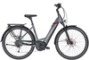 Pegasus Strong Evo 9 (500 Wh),  9 Gang Kettenschaltung,  Damenfahrrad,  Wave,  Modell 2020,  28 Zoll,  grey matt,  grey matt,  50 cm