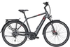 Pegasus Strong Evo 9 (500 Wh),  9 Gang Kettenschaltung,  Herrenfahrrad,  Diamant,  Modell 2020,  28 Zoll,  grey matt,  grey matt,  65 cm