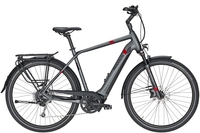 Pegasus Strong Evo 9 (500 Wh),  9 Gang Kettenschaltung,  Herrenfahrrad,  Diamant,  Modell 2020,  28 Zoll,  grey matt,  grey matt,  65 cm