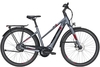 Pegasus Tecaro Evo NV Belt (400 Wh),  stufenlose Nabenschaltung,  Damenfahrrad,  Trapez,  Modell 2020,  28 Zoll,  grey matt,  grey matt,  45 cm