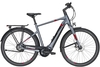 Pegasus Tecaro Evo NV Belt (400 Wh),  stufenlose Nabenschaltung,  Herrenfahrrad,  Diamant,  Modell 2020,  28 Zoll,  grey matt,  grey matt,  45 cm