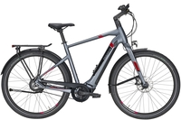 Pegasus Tecaro Evo NV Belt (400 Wh),  stufenlose Nabenschaltung,  Herrenfahrrad,  Diamant,  Modell 2020,  28 Zoll,  grey matt,  grey matt,  45 cm
