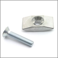 Pletscher M10x50 Senkschraube Lasche F 15/3
