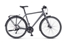 Rabeneick TS5 30-Gg Disc,  30 Gang Kettenschaltung,  Herrenfahrrad,  Diamant,  Modell 2020,  28 Zoll,  slate matt,  slate matt,  50 cm