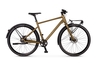 Rabeneick TX7C 8-Gg Disc FL Gates,  8 Gang Nabenschaltung,  Herrenfahrrad,  Diamant,  Modell 2020,  28 Zoll,  bronze matt,  bronze matt,  45 cm
