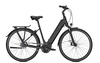 Raleigh BRISTOL 8 RT,  8 Gang,  Damenfahrrad,  Wave,  Modell 2019,  28 Zoll,  phantomgrey matt,  phantomgrey matt,  53 cm