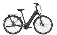 Raleigh BRISTOL 8 RT,  8 Gang,  Damenfahrrad,  Wave,  Modell 2019,  28 Zoll,  phantomgrey matt,  phantomgrey matt,  53 cm