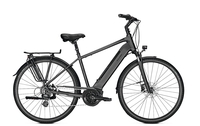 Raleigh BRISTOL 9,  9 Gang,  Herrenfahrrad,  Diamant,  Modell 2019,  28 Zoll,  diamondblack matt,  diamondblack matt,  48 cm