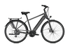 Raleigh BRISTOL 9,  9 Gang,  Herrenfahrrad,  Diamant,  Modell 2019,  28 Zoll,  diamondblack matt,  diamondblack matt,  58 cm
