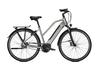 Raleigh BRISTOL PREMIUM FL,  5 Gang,  Damenfahrrad,  Trapez,  Modell 2019,  28 Zoll,  steelgrey matt,  steelgrey matt,  43 cm