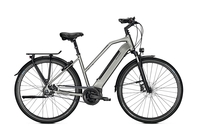 Raleigh BRISTOL PREMIUM FL,  5 Gang,  Damenfahrrad,  Trapez,  Modell 2019,  28 Zoll,  steelgrey matt,  steelgrey matt,  43 cm