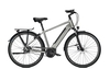 Raleigh BRISTOL PREMIUM FL,  5 Gang,  Herrenfahrrad,  Diamant,  Modell 2019,  28 Zoll,  steelgrey matt,  steelgrey matt,  53 cm