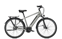 Raleigh BRISTOL PREMIUM FL,  5 Gang,  Herrenfahrrad,  Diamant,  Modell 2019,  28 Zoll,  steelgrey matt,  steelgrey matt,  53 cm