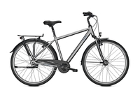 Raleigh CHESTER 8,  8 Gang Nabenschaltung,  Herrenfahrrad,  Diamant,  Modell 2020,  28 Zoll,  steelgrey matt,  steelgrey matt,  50 cm