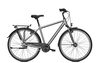 Raleigh CHESTER 8,  8 Gang Nabenschaltung,  Herrenfahrrad,  Diamant,  Modell 2020,  28 Zoll,  steelgrey matt,  steelgrey matt,  60 cm