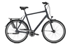Raleigh CHESTER 8 XXL,  8 Gang,  Herrenfahrrad,  Diamant,  Modell 2019,  28 Zoll,  seablue matt,  seablue matt,  64 cm