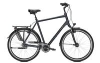Raleigh CHESTER 8 XXL,  8 Gang,  Herrenfahrrad,  Diamant,  Modell 2019,  28 Zoll,  seablue matt,  seablue matt,  64 cm