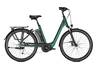 Raleigh CORBY 9 XXL,  9 Gang Kettenschaltung,  Damenfahrrad,  Wave,  Modell 2020,  28 Zoll,  kombugreen matt,  kombugreen matt,  55 cm