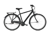 Raleigh DEVON 7,  7 Gang Nabenschaltung,  Herrenfahrrad,  Diamant,  Modell 2020,  28 Zoll,  magicblack matt,  magicblack matt,  50 cm