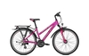 Raleigh FUNMAX,  21 Gang Kettenschaltung,  Damenfahrrad,  Trapez,  Modell 2020,  26 Zoll,  deepmagenta matt,  deepmagenta matt,  50 cm