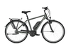 Raleigh JERSEY 8 RT,  8 Gang Nabenschaltung,  Herrenfahrrad,  Diamant,  Modell 2020,  28 Zoll,  cumberlandgrey matt,  cumberlandgrey matt,  60 cm