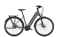 Raleigh KENT PREMIUM,  5 Gang Nabenschaltung,  Damenfahrrad,  Wave,  Modell 2020,  28 Zoll,  granitegrey matt,  granitegrey matt,  58 cm