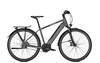Raleigh KENT PREMIUM,  5 Gang Nabenschaltung,  Herrenfahrrad,  Diamant,  Modell 2020,  28 Zoll,  granitegrey matt,  granitegrey matt,  58 cm