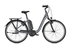 Raleigh KINGSTON 8 FL,  8 Gang Nabenschaltung,  Damenfahrrad,  Wave,  Modell 2020,  28 Zoll,  shadowgrey matt,  shadowgrey matt,  60 cm