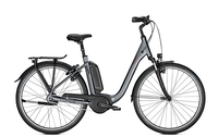 Raleigh KINGSTON 8 FL,  8 Gang Nabenschaltung,  Damenfahrrad,  Wave,  Modell 2020,  28 Zoll,  shadowgrey matt,  shadowgrey matt,  60 cm