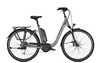 Raleigh KINGSTON 9,  9 Gang Kettenschaltung,  Damenfahrrad,  Wave,  Modell 2020,  28 Zoll,  techgreen glossy,  techgreen glossy,  60 cm