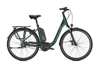 Raleigh KINGSTON PREMIUM FL,  8 Gang Nabenschaltung,  Damenfahrrad,  Wave,  Modell 2020,  28 Zoll,  kombugreen matt,  kombugreen matt,  60 cm