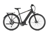 Raleigh PRESTON 10,  10 Gang,  Herrenfahrrad,  Diamant,  Modell 2019,  28 Zoll,  magicblack matt,  magicblack matt,  53 cm