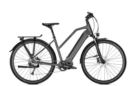 Raleigh PRESTON 9,  9 Gang,  Damenfahrrad,  Trapez,  Modell 2019,  28 Zoll,  granitegrey matt,  granitegrey matt,  53 cm