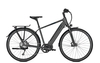 Raleigh PRESTON 9,  9 Gang,  Herrenfahrrad,  Diamant,  Modell 2019,  28 Zoll,  granitegrey matt,  granitegrey matt,  58 cm