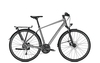 Raleigh RUSHHOUR 1.0,  27 Gang Kettenschaltung,  Herrenfahrrad,  Diamant,  Modell 2020,  28 Zoll,  jetgrey matt,  jetgrey matt,  60 cm