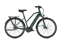 Raleigh SHEFFIELD 8,  8 Gang Nabenschaltung,  Damenfahrrad,  Trapez,  Modell 2020,  28 Zoll,  kombugreen matt,  kombugreen matt,  53 cm