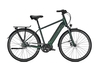 Raleigh SHEFFIELD 8,  8 Gang Nabenschaltung,  Herrenfahrrad,  Diamant,  Modell 2020,  28 Zoll,  kombugreen matt,  kombugreen matt,  48 cm
