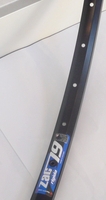 Ryde VR 28"ZAC19RS Disc sw M475 sw36 Sp sw