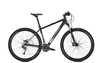 Univega ALPINA 5.0,  27 Gang Kettenschaltung,  Herrenfahrrad,  MTB,  Modell 2020,  29 Zoll,  magicblack matt,  magicblack matt,  48 cm