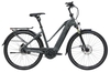 ZEMO Aktiv 8N Belt (500 Wh),  8 Gang Nabenschaltung,  Damenfahrrad,  Trapez,  Modell 2019,  28 Zoll,  grau,  grau,  46 cm