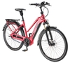 ZEMO Aktiv 8N Belt (500 Wh),  8 Gang Nabenschaltung,  Damenfahrrad,  Trapez,  Modell 2019,  28 Zoll,  rot,  rot,  46 cm