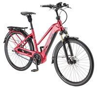 ZEMO Aktiv 8N Belt (500 Wh),  8 Gang Nabenschaltung,  Damenfahrrad,  Trapez,  Modell 2019,  28 Zoll,  rot,  rot,  46 cm