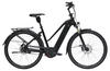ZEMO Aktiv 8N Belt ohne GPS (500Wh),  8 Gang Nabenschaltung,  Damenfahrrad,  Trapez,  Modell 2018,  28 Zoll,  schwarz matt,  schwarz matt,  46 cm